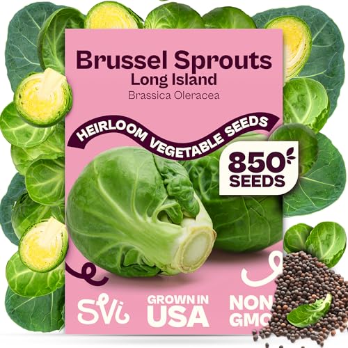 SVI 850 Long Island Brussels Sprouts Seeds (Brassica Oleracea) Brussel Sprouts Seed Packets Heirloom Brussel Sprout Cold Hardy Vegetable Seeds Home Garden Outdoor Beds Containers
