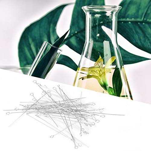 Ciclo de Enxerto Bacteriano, Agulha de Enxerto, Suportes de Ciclo de Enxerto de 50 PCS Dicas de Agul