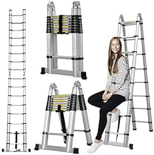 Aluminum Telescoping Telescopic Ladder 5M/16.5Ft A Frame Portable Extension Folding Multi-Purpose Heavy Duty Compact Ladder with Hinges, 330lb Load Capacity Non Slip for Home Loft Office (LD-5000)