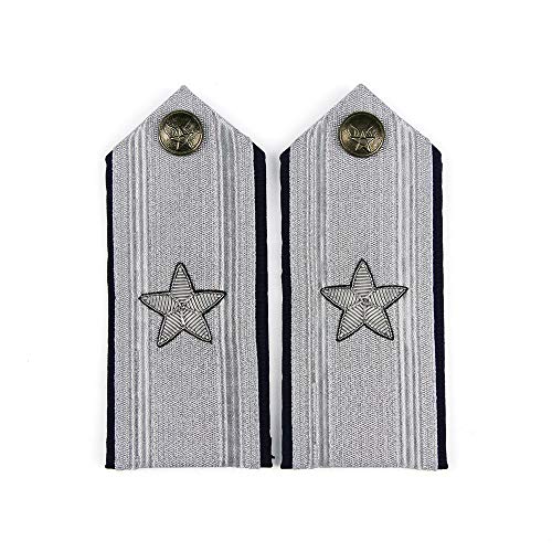 Pair of USAF Mess Dress Hard Shoulder Boards, Brigadier General
