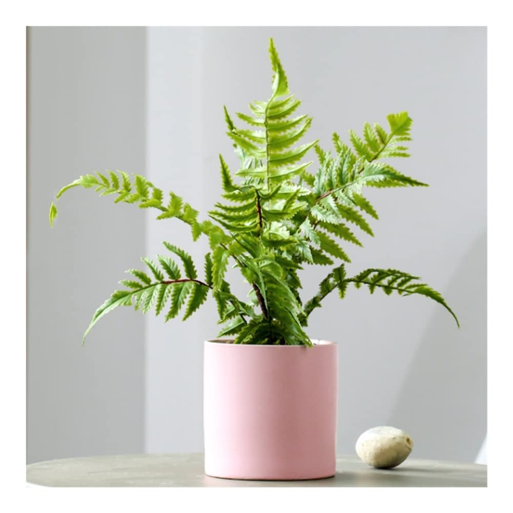 Pianta Falsa Piante finte realistiche, Ferna persiana Artificiale Le Piante in Vaso, Decorazioni Verdure for la casa for Ufficio Agriturismo Bagno 12.2in Focus Visivo (Color : Pink)