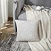 VANMI Throw Pillow Cover Spot Polka Dot Simple Structure Abstract with Many Scattered Pieces Black and White Design for Scatter Decorative Pillow Case Home Decor Square 20x20 Inches Pillowcase