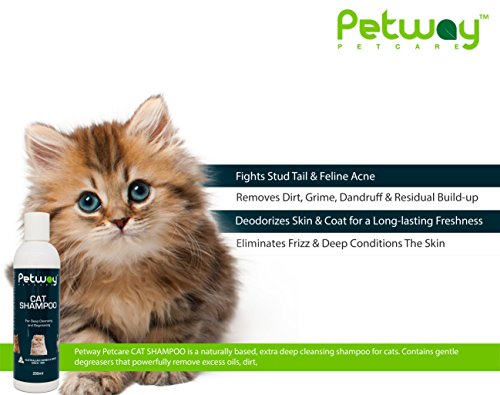 Petway Petcare Cat Shampoo, Anti Dandruff Shampoo For Deep Cleanse & Degreasing, Removes Excess Oils, Dirt And Dandruff, Ph Balanced, Parabens & Sulfates Free, Cruelty Free, For Use On Cats, 250Ml #TOP2
