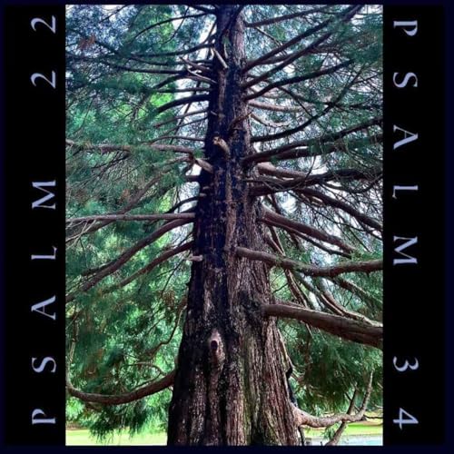 Zander's Sunday Sauce - Psalm 22 - Psalm 34