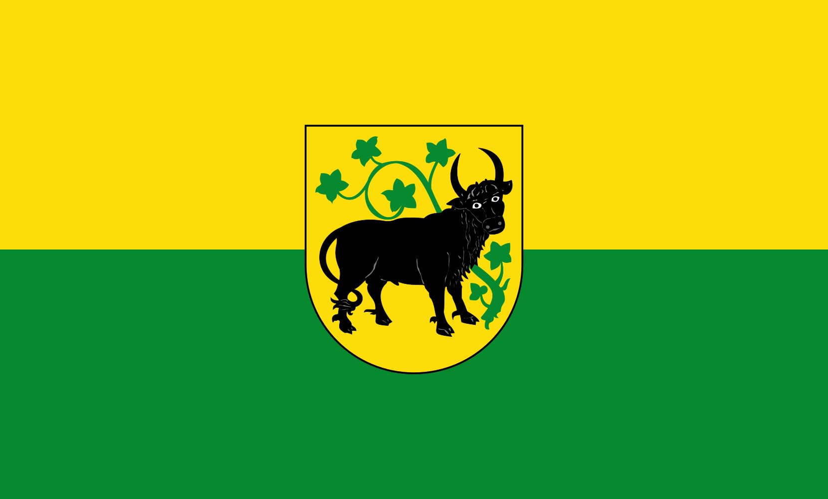 Drapeau Large Güstrow d'une finition haut de gamme paysage 1.35m²