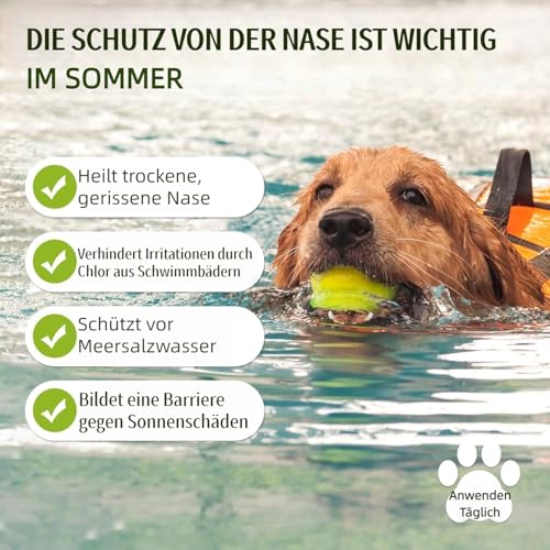 1 oz Pflanzlicher Nasenbalsam für Hunde - Natürliche Linderung und Feuchtigkeit für trockene, rissige Nasen