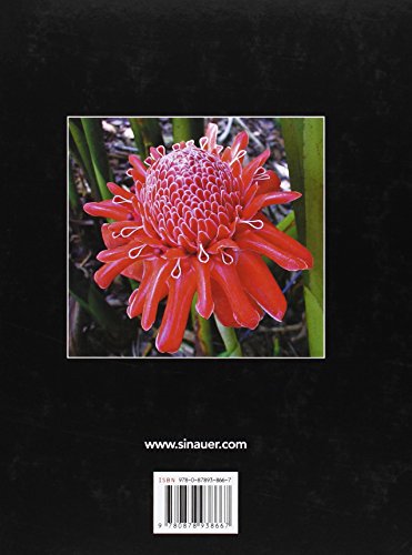 Plant Physiology - Image 2