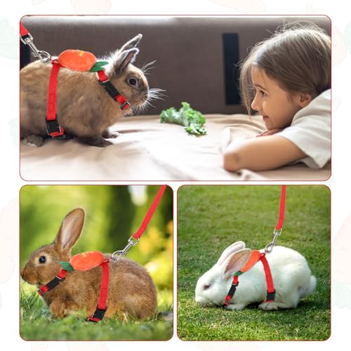 Image of Small Rabbit Harness and Leash Set, Adjustable Double Buckle Bunny Leash, Escape Proof Leashs for Pet Running Walk Jogging Bunny Cat Puppy Kitten Ferret and Other Small Pet