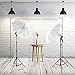 LimoStudio Photography Photo Portrait Studio Day Light 33