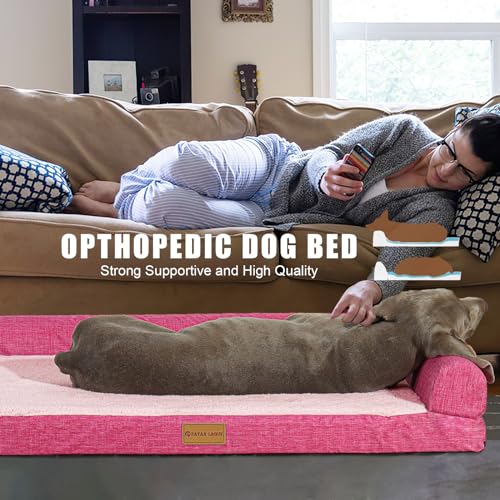 Perro, Video On Demand Imagen adicional