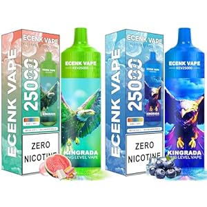 Ecenk Vaper Sin Nicotina 25000 Caladas 2 piezas Recargable Pod Desechable Cigarrillo Electrónico 10 Sabores RGB Luces de colores (Chicle Sandía+Arándano Razz Hielo)
