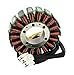 Produktbild MTP-Racing Stator Lichtmaschine passend für Honda VFR 800 V-Tec RC46 2002-2013