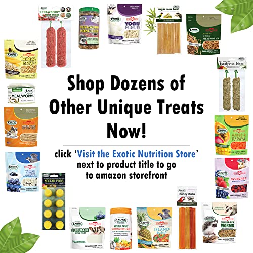 Exotic Nutrition Dozen Delights - petiscos de donut tamanho mordida (pacote com 12) - coelhos, porqu