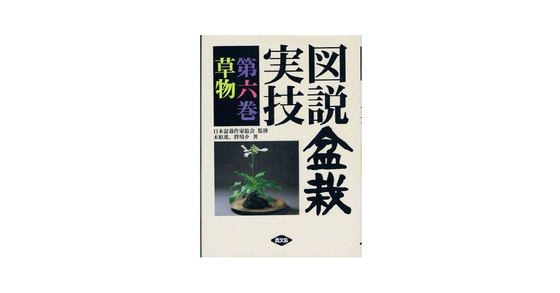 図説盆栽 実技編 全6巻セット 図説盆栽実技（第1巻） 松柏 1 | 木原 進, 群 境介 |本 | 通販