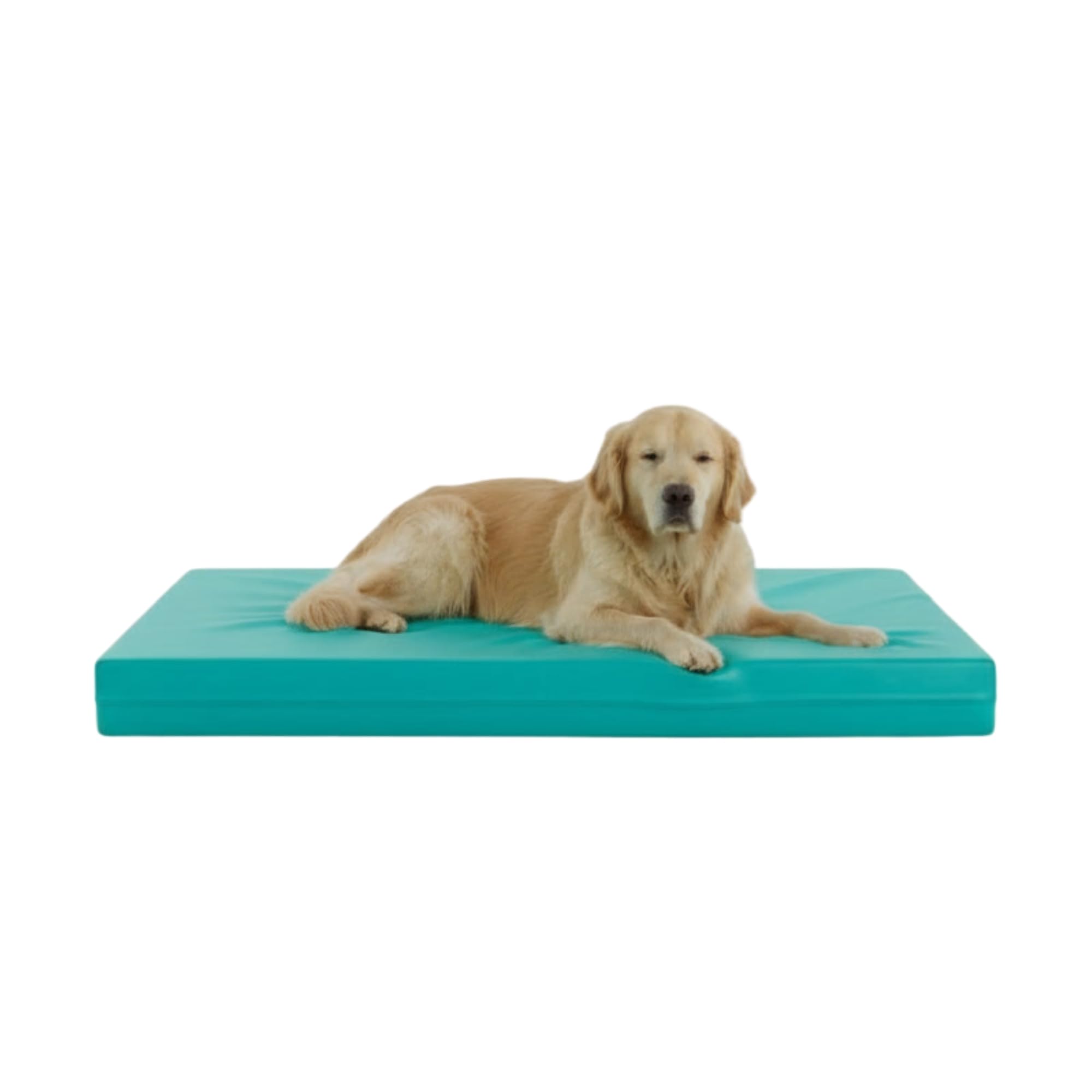 Kosiproducts Waterproof Dog Bed Mattress, Foam, 190gsm Soft Polyester, Cage Crate Mat, Pet Bed, Removable and Washable Cover [150cm x 90cm x 10cm, Turquoise]