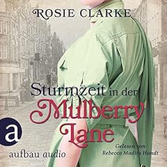 Couverture de Sturmzeit in der Mulberry Lane