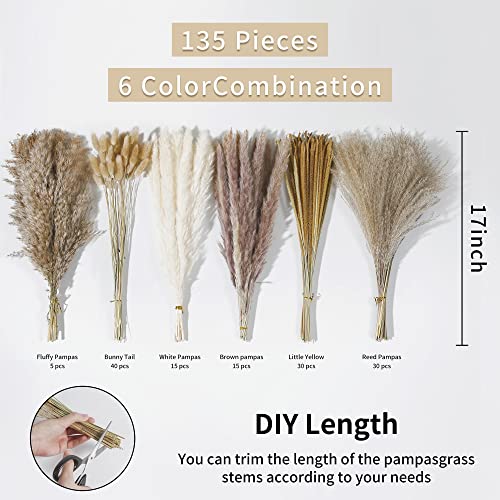 Wertuirk 135Pcs Dried Pampas Grass Decor, Boho Home Decor, Mini Bunny Tails Dried Flowers, Fluffy Pompous Grass Bouquet Bulk For Wedding, Table, Rustic Party, Baby Shower Decorations #TOP3