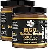 BEE NATURAL MGO 600+ MANUKA HONIG * PREMIUM MONOFLORAL NEUSEELAND MANUKA HONIG IN EINEM UMWELTFREUNDLICHEN ECHTGLASGEFÄß AUS NICHT GEFÄRBTEM GLAS (2x 250G MGO 600+ MANUKAHONIG)