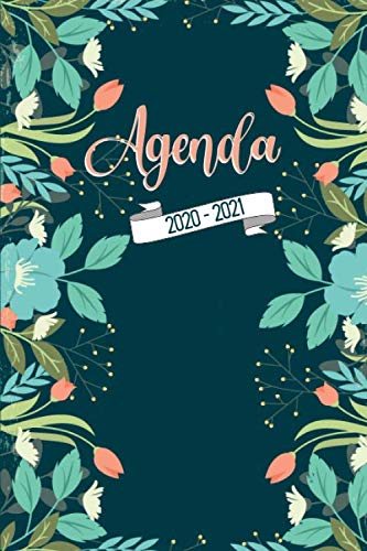 Télécharger Agenda 2020-2021: Agenda Scolaire 2020-2021 – Organisateur Journalier – Idéal pour étudiant (p livre En ligne