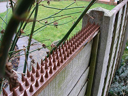 GEEZY 10 Piece Anti Climb Fence Wall Spikes Burglars Cats Birds Repellent Deterrent, 5 Meters