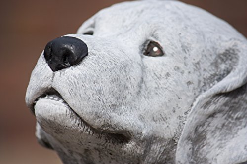 stoneandstyle Steinfigur großer Labrador Hund, Höhe ca. 36 cm, Gewicht 14,3 kg, Frost- und wetterfest bis -30°C, massiver Steinguss