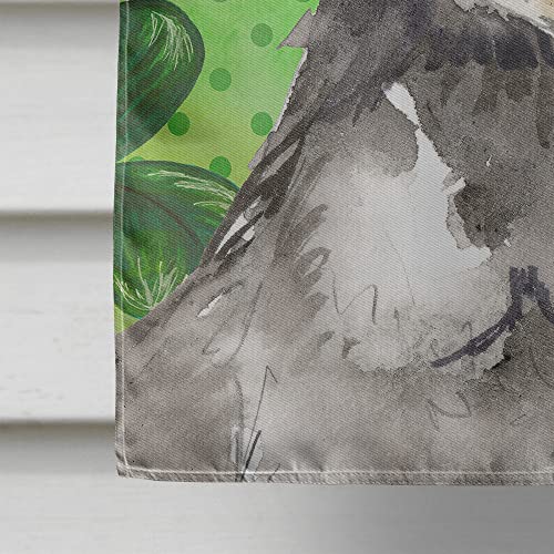 Drapeau Schnauzer de jardin grand format en tissu résistant pour décoration de maison