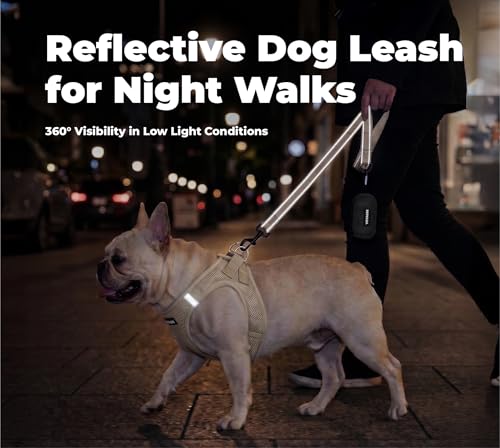Image of Best Pet Supplies Voyager Reflective Dog Leash or Collar with Neoprene Handle, for Small, Medium, and Large Breed Puppies, Cute and Heavy Duty for Walking, Running and Training - Khaki (Leash), S