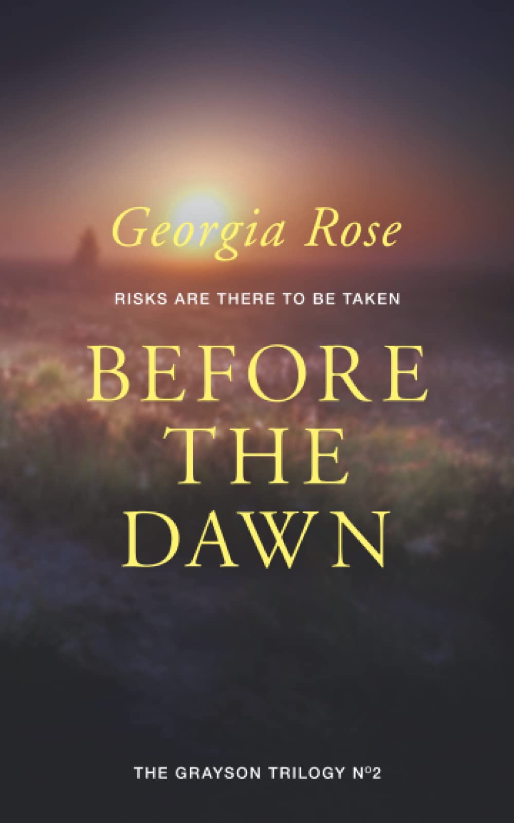 Before The Dawn: Book 2 of The Grayson Trilogy: Volume 2