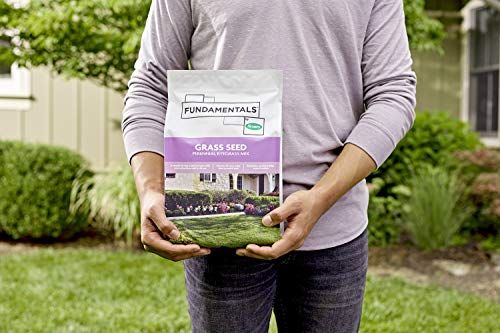 Grass Seed Blends For Erosion Control On Slopes