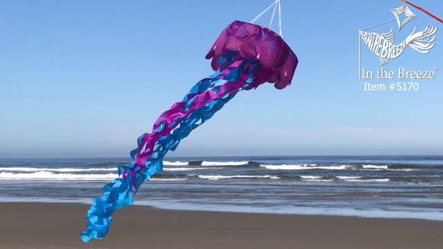 Amazon.com: In the Breeze 5170 — 3D Jellyfish Windsock — Colorful