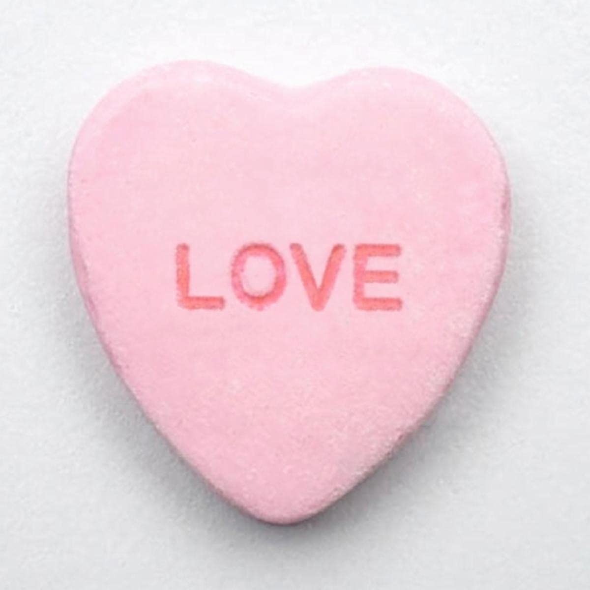 Will Wisdom Interviews