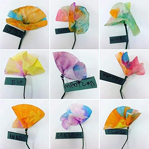 1-4 Cup Basket Coffee Filters,Natural Brown Biodegradable Basket Filters Paper Unbleached for Home Office Use,Coffee Filter Flowers, 50 Count