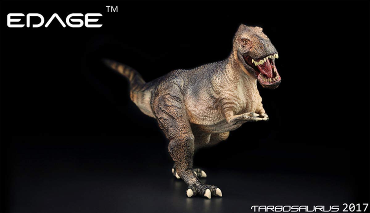 Amazon | EDAGE 1/35 サイズ タルボサウルス Tarbosaurus 竜脚類 肉食