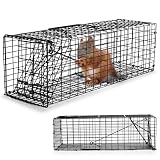 Qualirey Live Catch and Release Squirrel Trap
