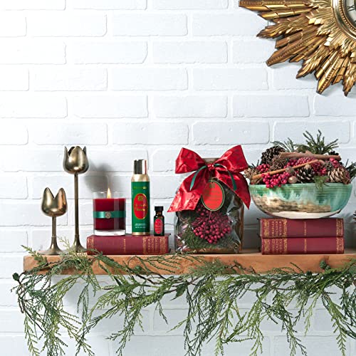 Aromatique-The-Smell-of-Christmas-Potpourri-Bag-14oz-Decorative-Home-Fragrance-Perfect-Winter-Decoration-Room-Air-Freshener-Sachet-Botanicals-Catchall-Bowl-Filler-Centerpiece-Room-Decor-Xmas-Gifts Aromatique The Smell of Christmas Potpourri Bag 14oz Decorative Home Fragrance Perfect Winter Decoration Room Air Freshener Sachet Botanicals Catchall Bowl Filler Centerpiece Room Decor Xmas Gifts