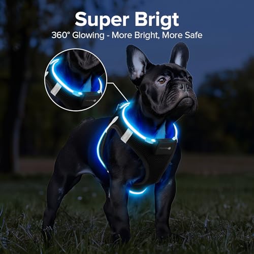 PcEoTllar Hundegeschirr Leuchtend, Leuchtgeschirr LED Aufladbar Reflektierendes, Beleuchtetes Leuchtgeschirr für Welpe Klein Mittlere Hund, Atmungsaktiv Leucht Geschirr, Schwarz(9 Modi), S