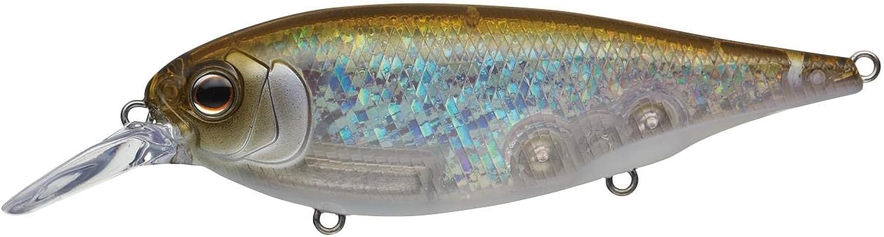 エバーグリーン(Evergreen) エックスオーバー #