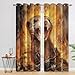 Ferret Curtains for Bedroom Decor, 39 Inches Long, Orange Flame Wildlife Animal Pattern Design Blackout Drapes, Ferret Curtains for Kitchen Bathroom Cafe, 2 Panels Set E&-6266