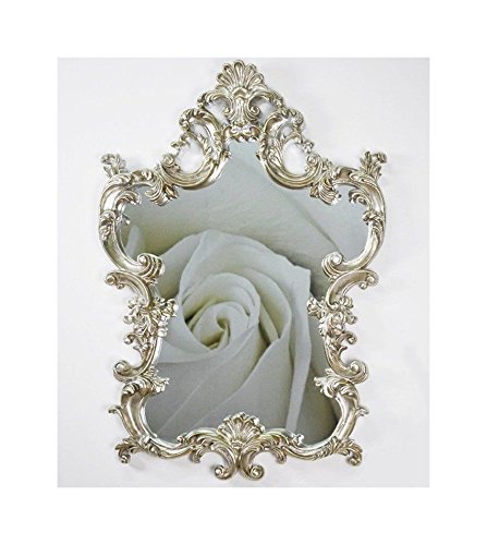 Lnxp XXL Wall Mirror Antique Baroque Rococo 76 x 110 cm in Silver