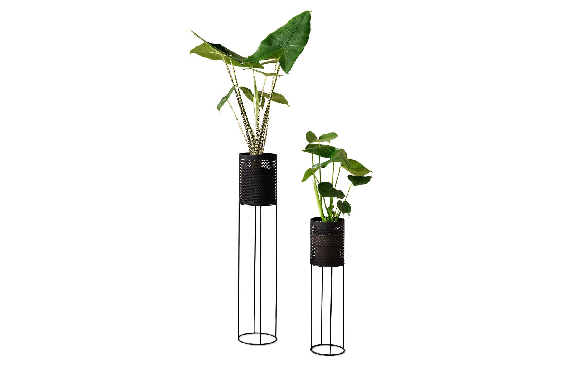 Bamworld Modern Plant Stand Indoor Tall, Corner Plant Stand For Indoor Plants, 2 Potted Black