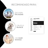 Ver la foto 2