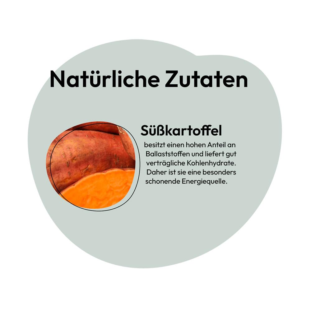 GRAU - the original - Dehydrated vegetables for BARFing - for dogs - Sweet potato semolina (1 x 1,2 kg), Natural, 1.2 kg (Pack of 1) - Image 3