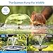 POPOSOAP 6.5W Solar Fountain Pump for Bird Bath Built-in 3000mAh Battery Backup, DIY Solar Water Fountain with Double-Layer Nozzles & Dry-Run Protection 5Ft Tubing for Ponds, Bird Bath, Water Features