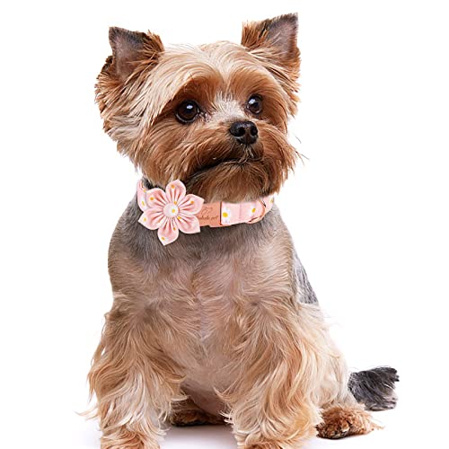 Babole Pet Dog Collar With Pink Daisy Flower Tie,Cotton Dog Collar With Safety Metal Buckle Adjustable Puppy Collars For Small Medium Large Boy&Girl Dog,Medium,Neck 13.5"-22" #TOP1