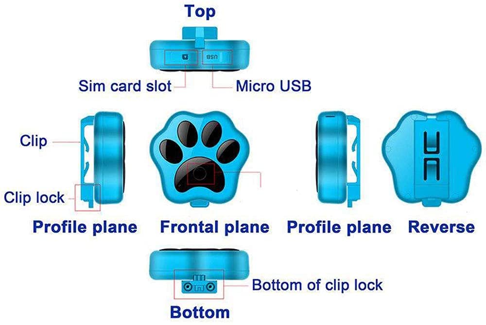 DDH Collar de rastreador GPS Perro Gato Inteligente, localizador de Mascotas Impermeable con Flash, sin comisión mensual-Black English