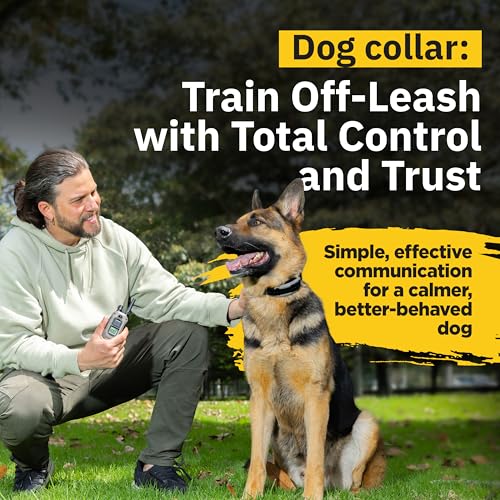 Image of Dogtra 1900X E-Collar for Dog Training - 3 /4 Mile Range, for Dogs 35 lbs+, IPX9K Waterproof, 100 Stimulation Levels, Vibration, Tone, Rechargeable - Ideal for Dog Owners and Professional Trainers
