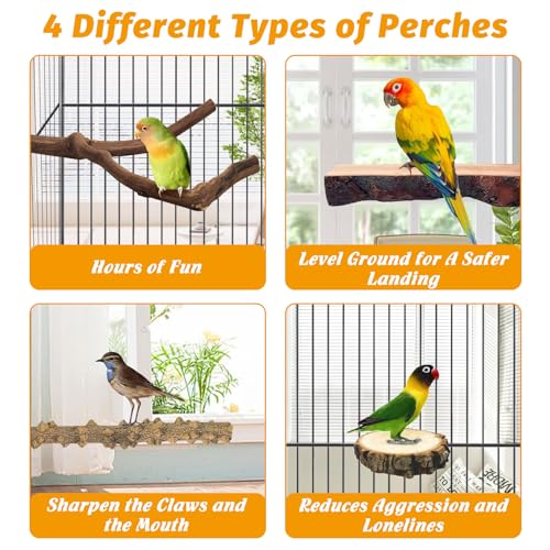 Image of 6Pcs Natural Wooden Bird Perch Grape Stick Claw Grinding Fork Bird Perching Branch Claw Grinding Stick Parrot Standing Platform Parrot Cage Chewing Accessories for Parrots Lovebirds Parakeets
