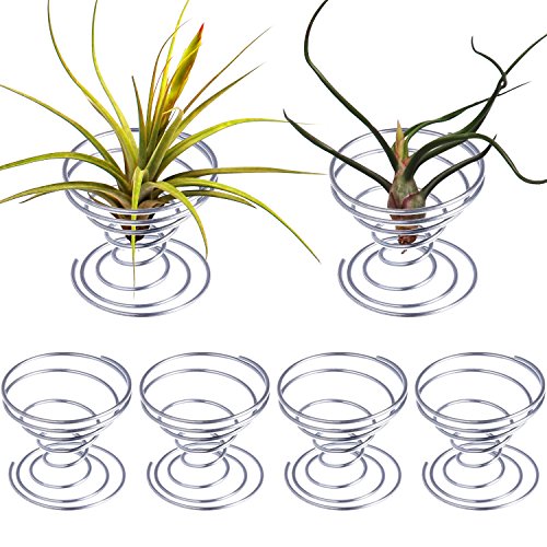 Comparison: Best Containers For Air Plants 5 Shappy 6 Pieces Air Plant Holder Air Plant Live Holders Outdoor Stainless Steel Tillandsia Base Container Display Rack for Tropical Home Desktop Office Decoration Supplies, Silver
