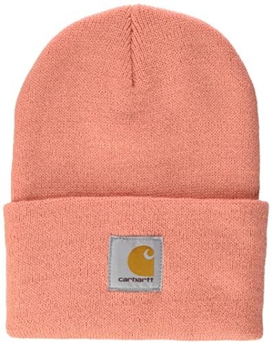 Amazon.com: Carhartt : Headwear