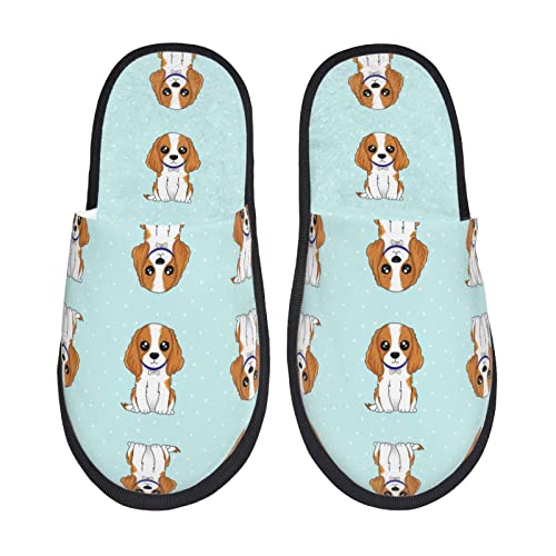 [ZOOKISS] 킢 LoA XpjG Xbp  Y  fB[X ~ 킢 qp 􂦂 gC qp p E Xbpjp Aj LN^[ ObY lC v[g M